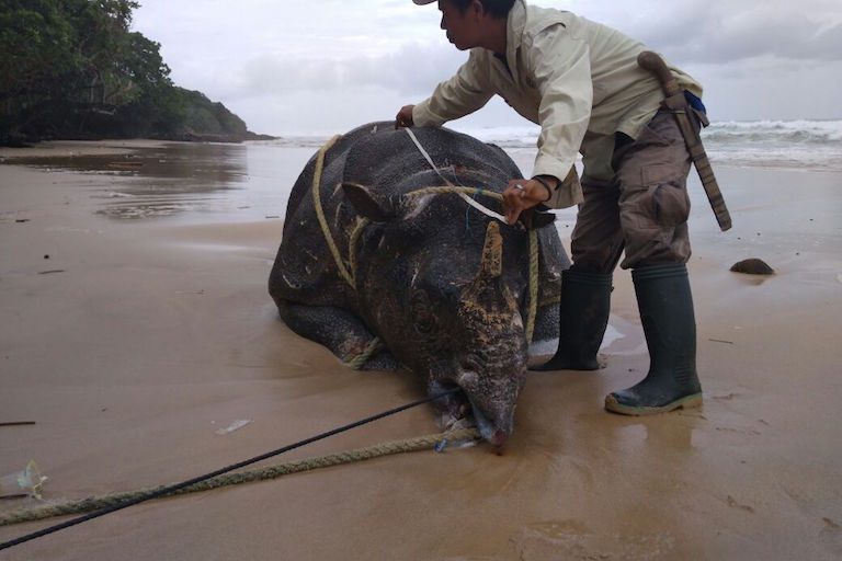Poaching Protection
