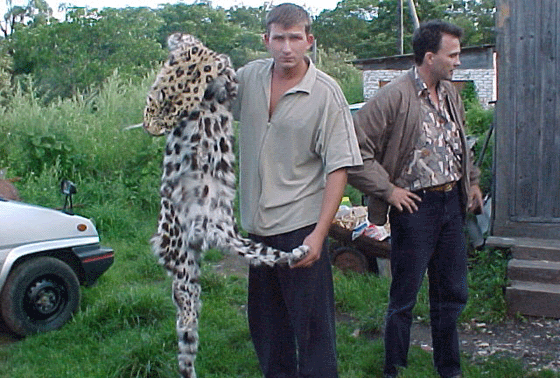 Anti-Poaching Efforts
