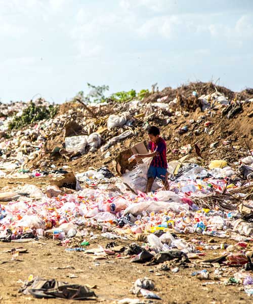 Manage Waste